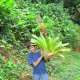 28- Romain offre des fleurs a sa maman 